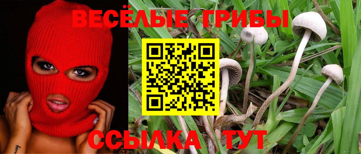Курчатов  Галлюциногенные грибы GOLDEN TEACHER  Галлюциногенные грибы ЛСД  Вход с VPN 